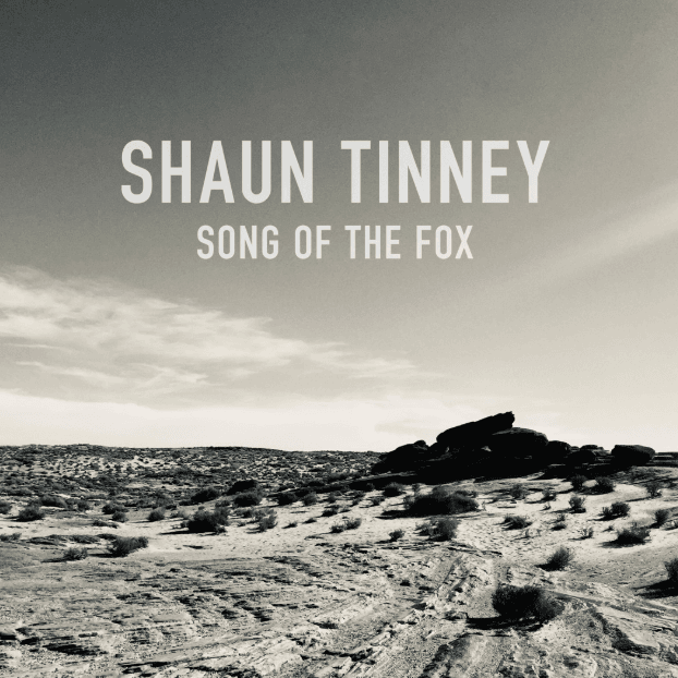 Song of the Fox cover